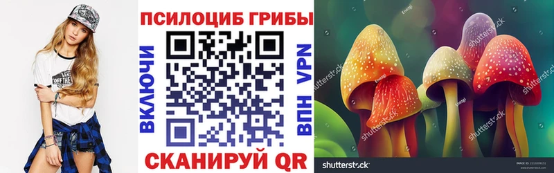 цены Борзя Галлюциногенные грибы мицелий