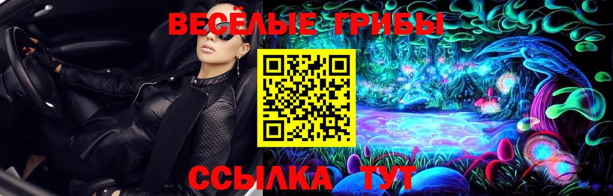 Псилоцибиновые грибы GOLDEN TEACHER Борзя